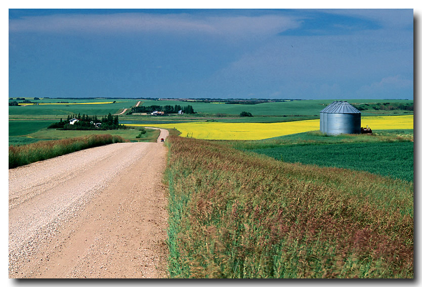 Humboldt, SK.1 ds Norris Crop Consulting